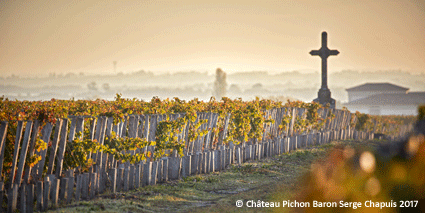 © Château Pichon baron Vignoble avec Croix